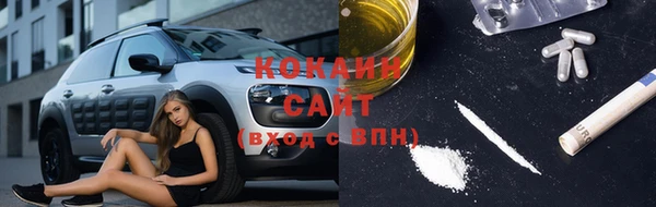 шишки Армянск