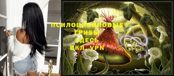 шишки Армянск