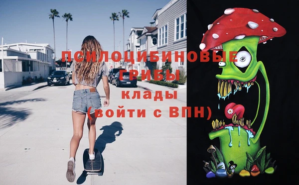 дурь Арсеньев