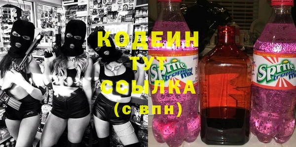 дурь Арсеньев